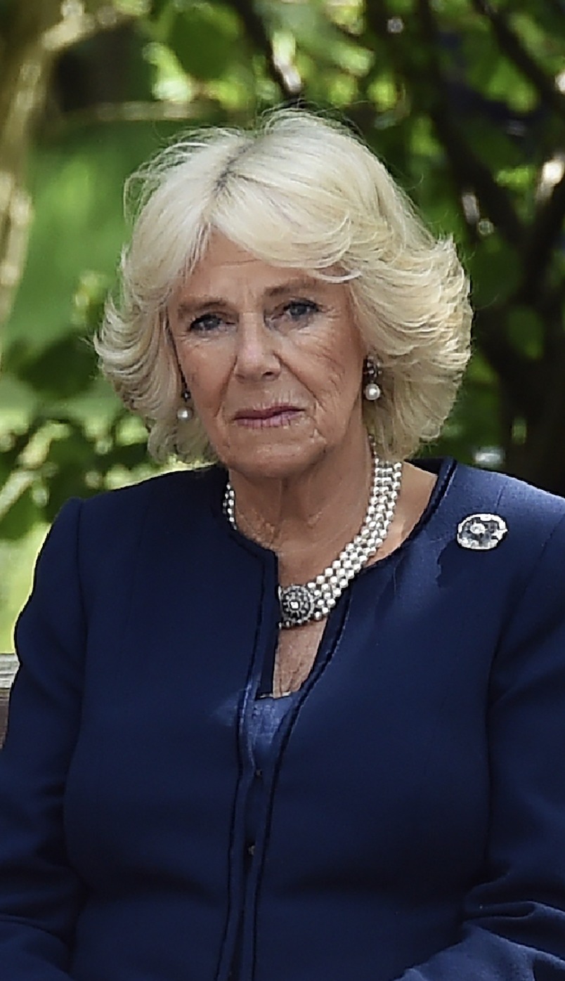 Queen Camilla's Temporary Royal Break Following King Charles' Cancer ...
